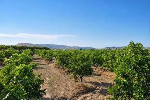 Casa de campo en Cotes, Valencia, Cotes - € 82.000 | Ref: PNVL2184 - photo 12